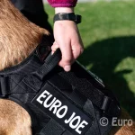 eurojoe-hartac