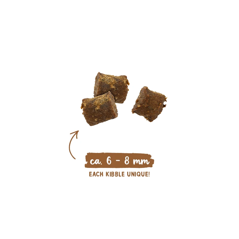 sanabelle-juicy-duck-1 Sanabelle Juicy Sočna Patka Mekani kroketi