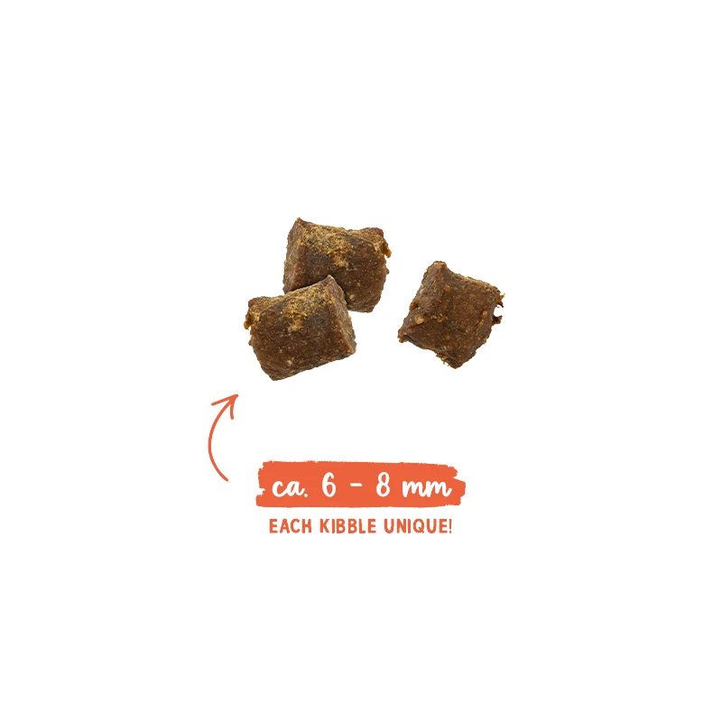 sanabelle-juicy-salmon-1