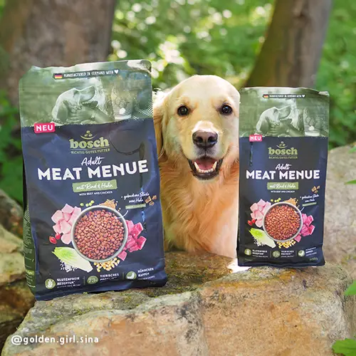bosch-meat-menue-adult-rind-goldengirlsina